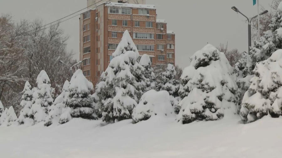 Последствия сильного снегопада устраняют в Таразе. LIVE