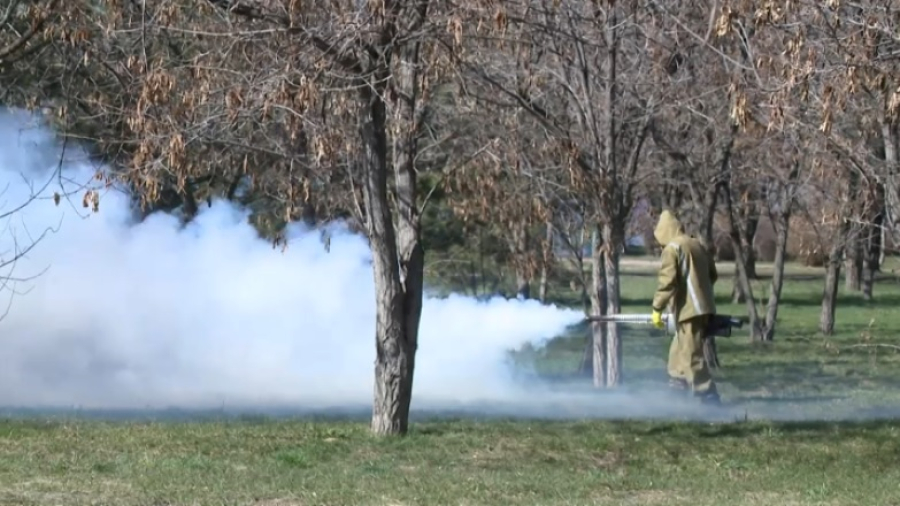Уже 70 обращений из-за укусов клещей зафиксировали в Алматы