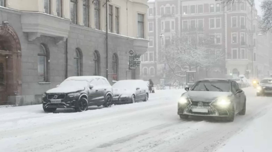 Швецияда ЖИ көктайғақтың алдын алады