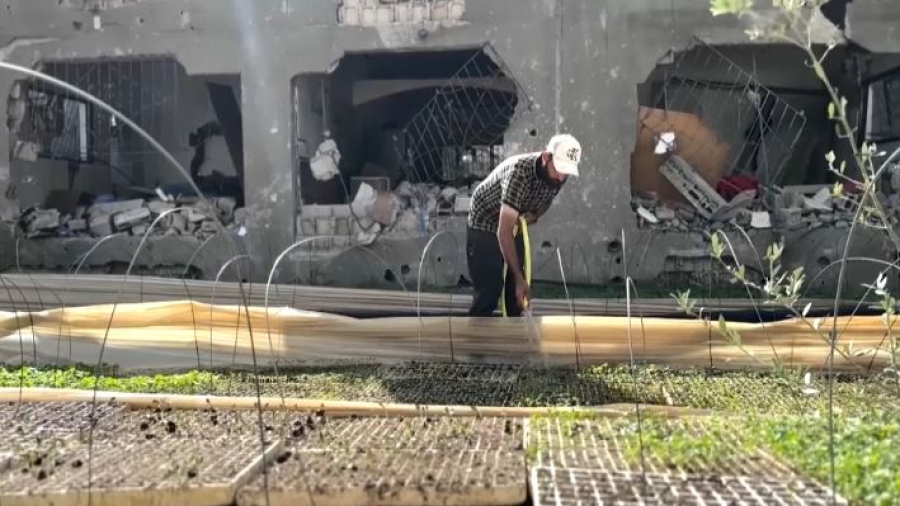 ООН: 95% пахотных земель в секторе Газа не пригодны для использования