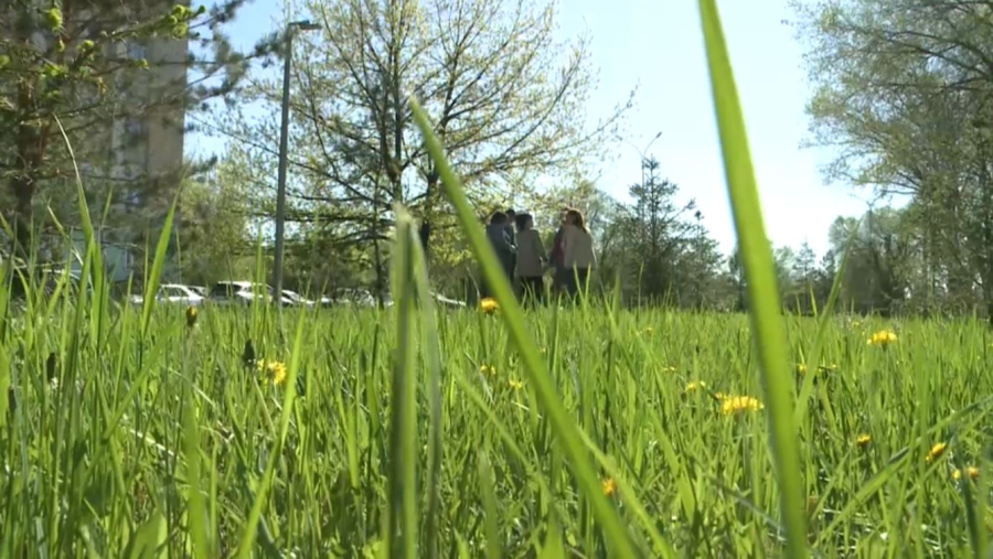 Больше 200 клещей исследовали в лабораториях Карагандинской области