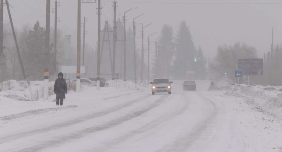 ШҚО-да денсаулық сақтау және білім саласында маман тапшы