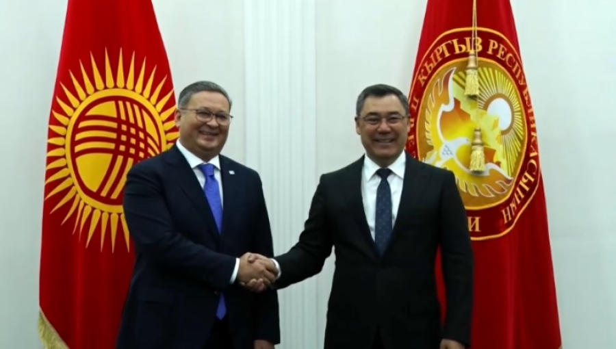 Глава МИД Казахстана встретился с Президентом Кыргызстана