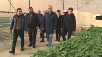 Түркістан облысыдағы жылыжай иелеріне субсидия беріледі