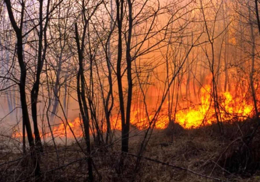 Как предотвратить пожары в тёплый сезон