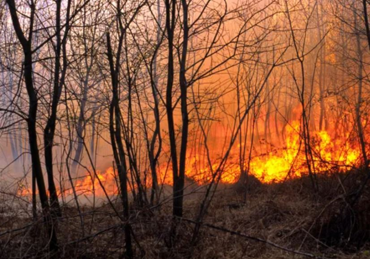 Как предотвратить пожары в тёплый сезон