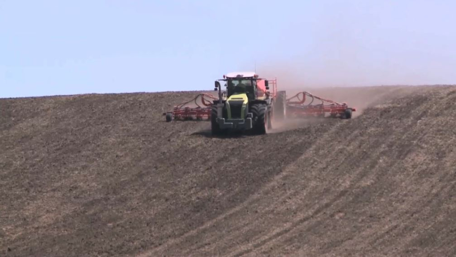 Өскеменде отандық ғалымдар табиғи гидрогель жасады