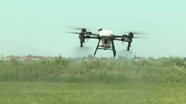 Дроны помогают фермерам удобрять рисовые поля