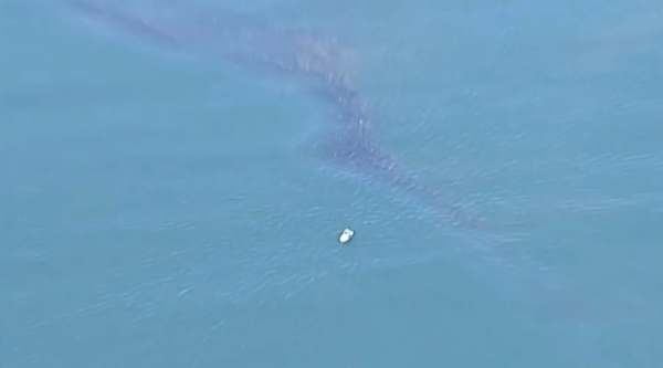 АҚШ-тың Калифорния штаты жағалауында мұнай төгілді