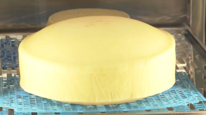 Более 30 тыс. тонн сыра и творога завезли в Казахстан