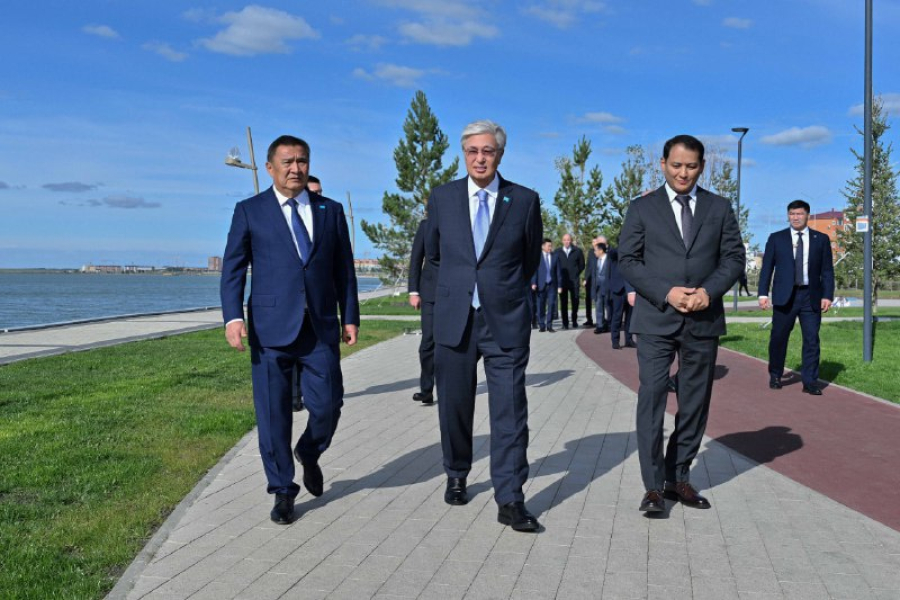 Қ. Тоқаевқа «Көк шалғын» жобасы таныстырылды