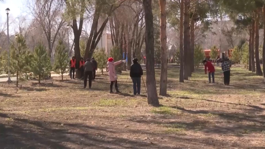 Молодёжная акция Eco Hackathon состоялась в Талдыкоргане