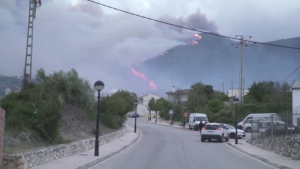 Лесной пожар бушует на востоке Испании