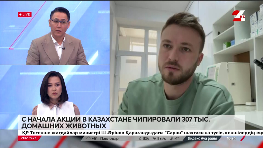 С начала акции в Казахстане чипировали 307 тысяч домашних животных. Максим Падерин