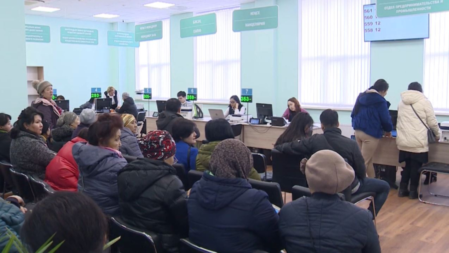 Отбасының цифрлық картасы дегеніміз не?