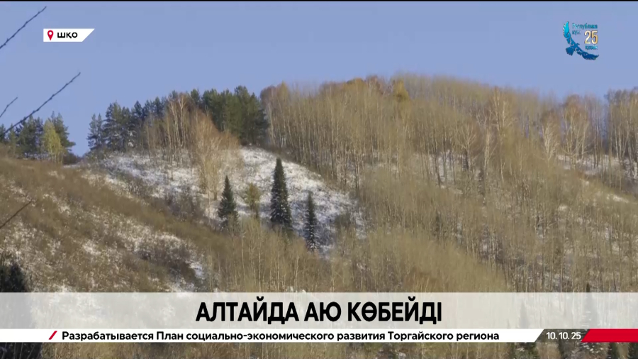 Риддер тұрғындары аюлардан қорқып отыр