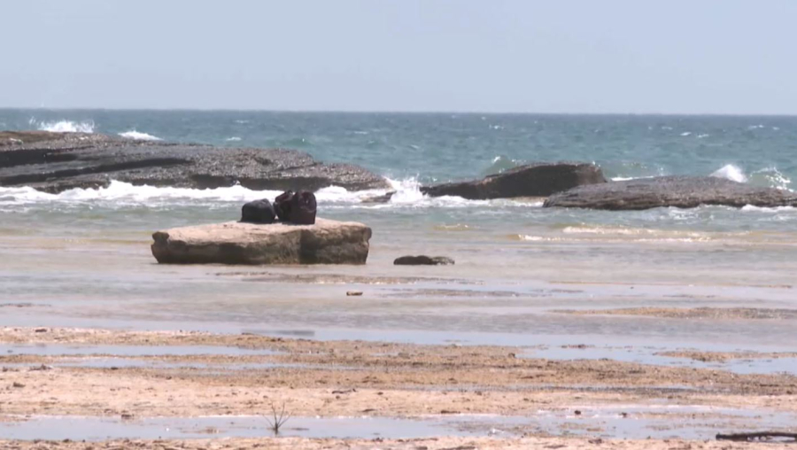 Каспий теңізін зерттеуге 305 млн теңге бөлінді