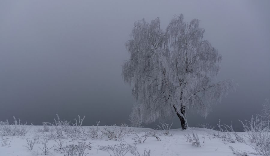 Туман, гололед и ветер прогнозируют в Казахстане
