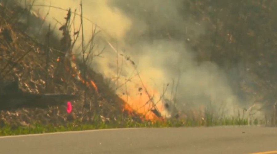 Две тысячи гектаров леса сгорело в Северной Каролине