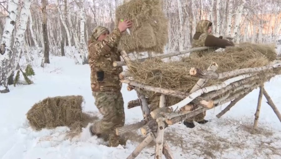 Диких животных подкармливают в нацпарке «Улытау»
