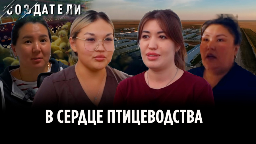 Герои птицеводства: о людях, которые обеспечивают нас едой