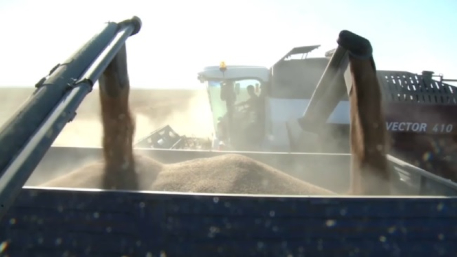 В Казахстане намолотили 22,7 млн тонн зерна