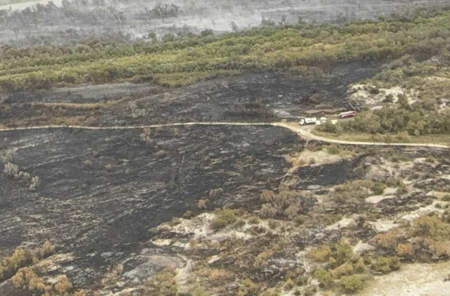 Пожар в нацпарке «Алтын-Эмель» потушили