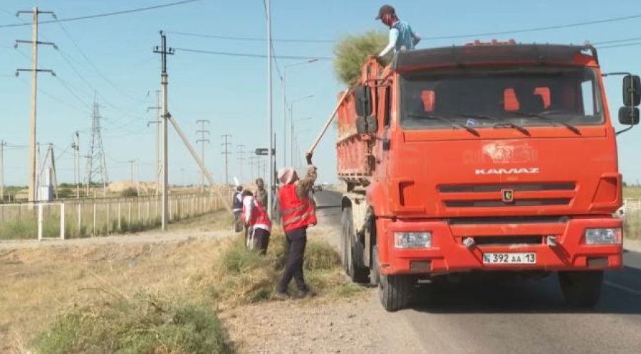 Экоакцию провели в Туркестанской области