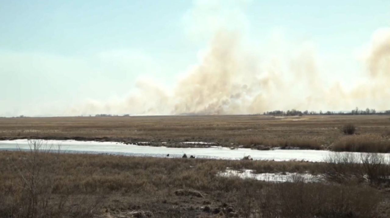 Павлодар облысында өртке қарсы 49 мобильді топ құрылды