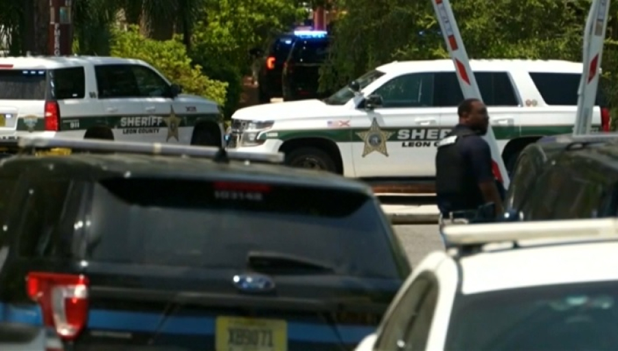 Как страны борются с вооруженным насилием