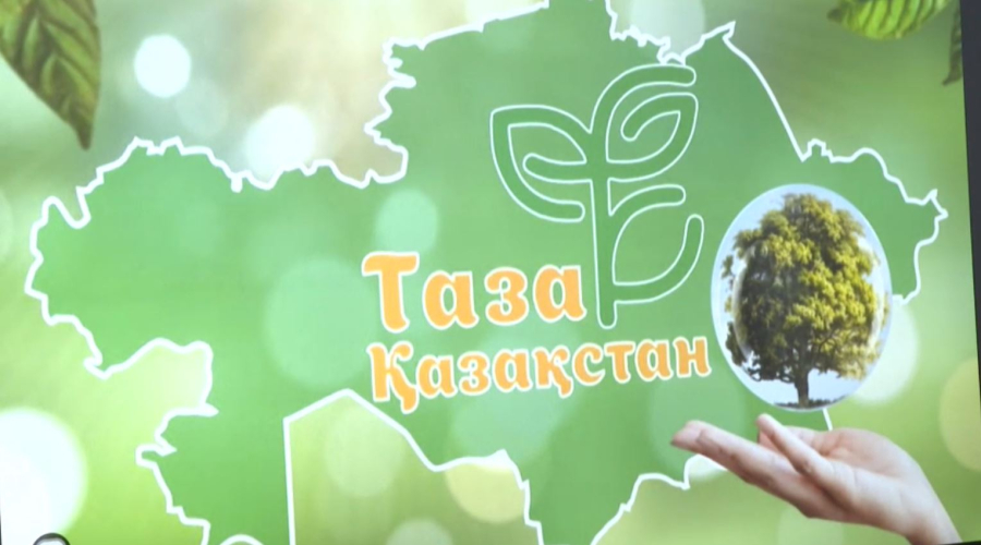 Экологиялық тәрбие мектептен басталады