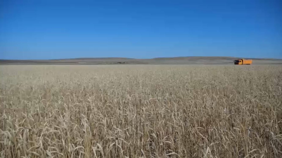 Ұлытау облысында жиын-терім жұмыстары аяқталды