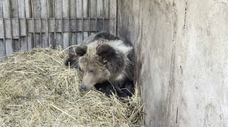 «Хабар» бір жасқа толды