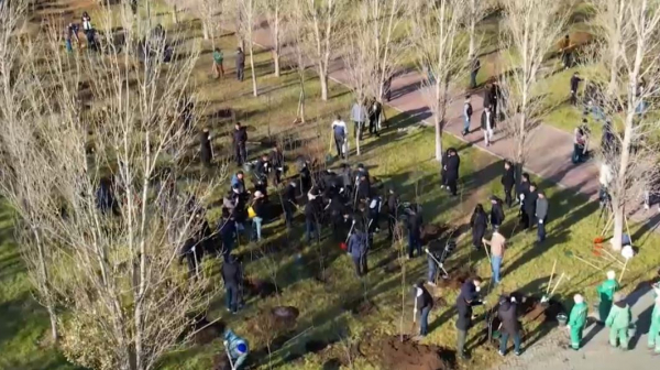 «Таза Қазақстан»: более 200 саженцев деревьев посадили депутаты