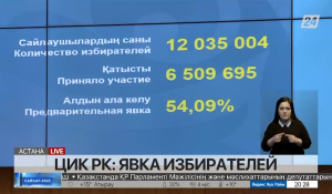 Явка избирателей составила 54,09% – данные ЦИК на 20:00