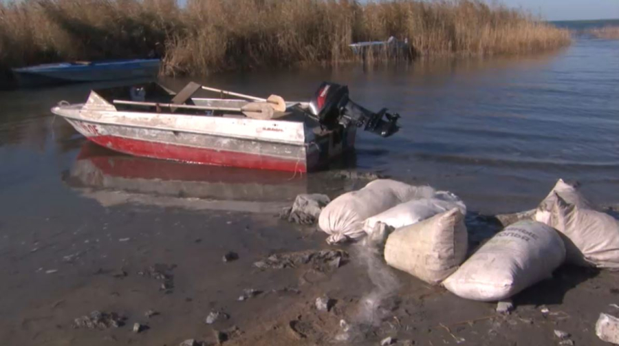 Браконьерство и неэффективные субсидии угрожают запасам рыбы