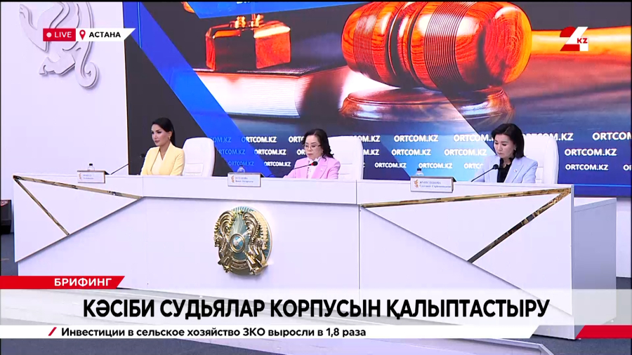Кәсіби судьялар корпусын қалыптастыру. Брифинг
