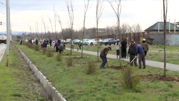 К экологической акции «Таза Қазақстан» присоединились в Жетісу