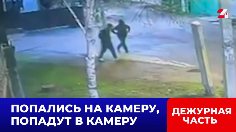 Банда домушников попалась на видеокамеры