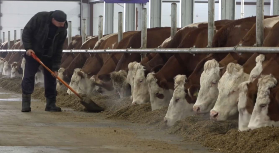 Ауыл бизнесін өрістетуге 1,5 млрд теңге бөлінді 