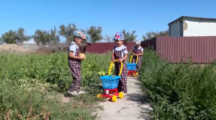 Қызылкөл ауылдық балабақшасында бөбектерді еңбек етуге баулиды
