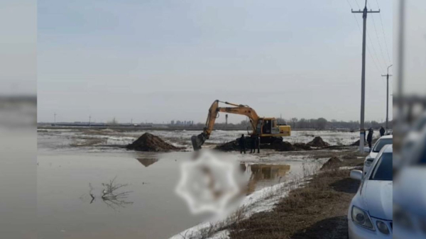 МЧС: угрозы подтопления домов в селе Бахты области Абай нет