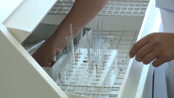 Казахстан потратит свыше ₸9,7 млрд на закуп вакцины против ВПЧ