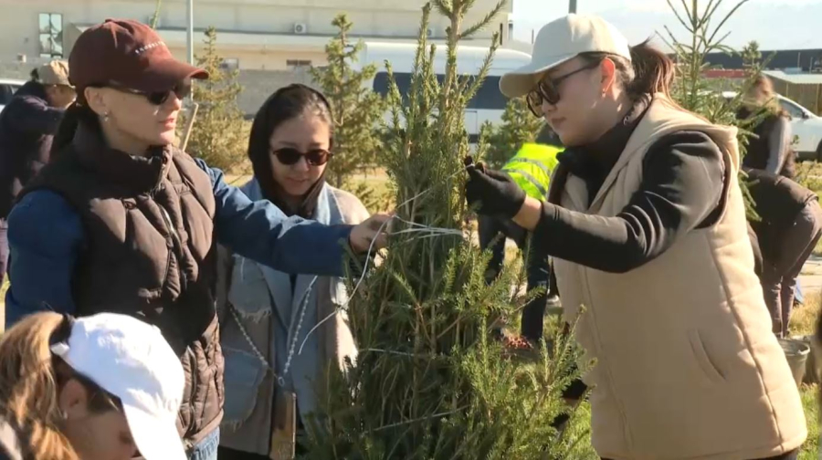 Образцовые населённые пункты выбрали в области Жетысу