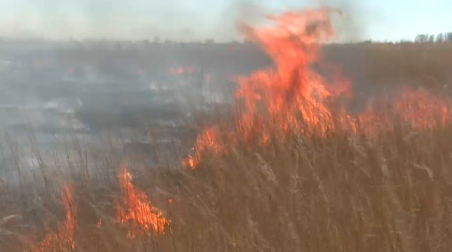 Высокий уровень пожарной опасности объявлен в дельте реки Или