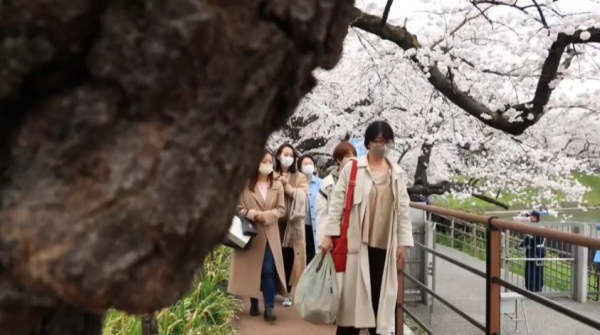 Почему в мире стало так много аллергиков?