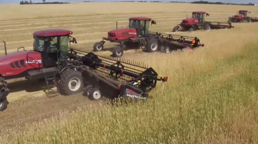 Казахстан экспортировал свыше 2 млн тонн зерна в Узбекистан