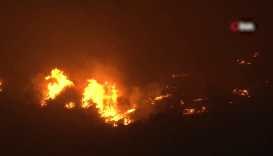 Түркияда 3000 гектар орман алқабы өртеніп жатыр