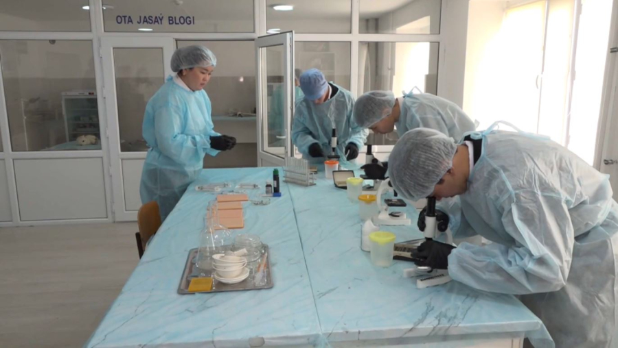 Ветеринары, зоотехники и агрономы требуются в Атырауской области