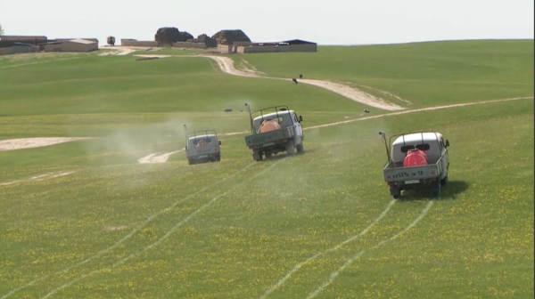 Түркістан облысында көктемде шыбын-шіркей қаптайды